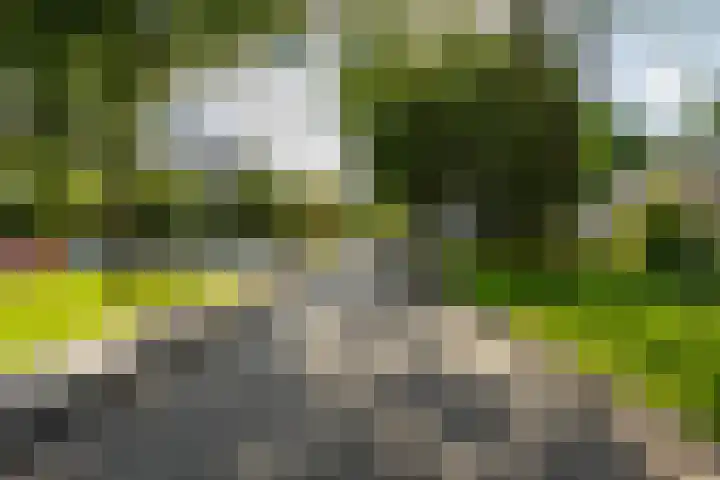 Lichtboei 87 Groningen thumbnail 43