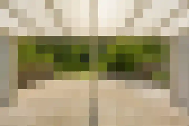 Lichtboei 87 Groningen thumbnail 5