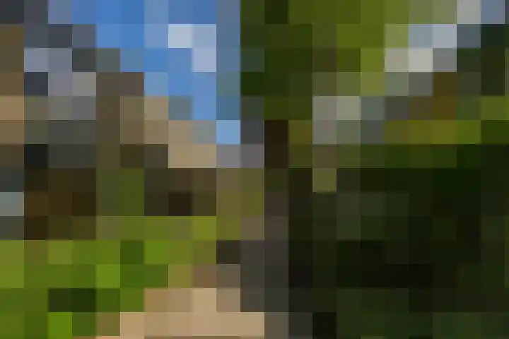 Lichtboei 87 Groningen thumbnail 6