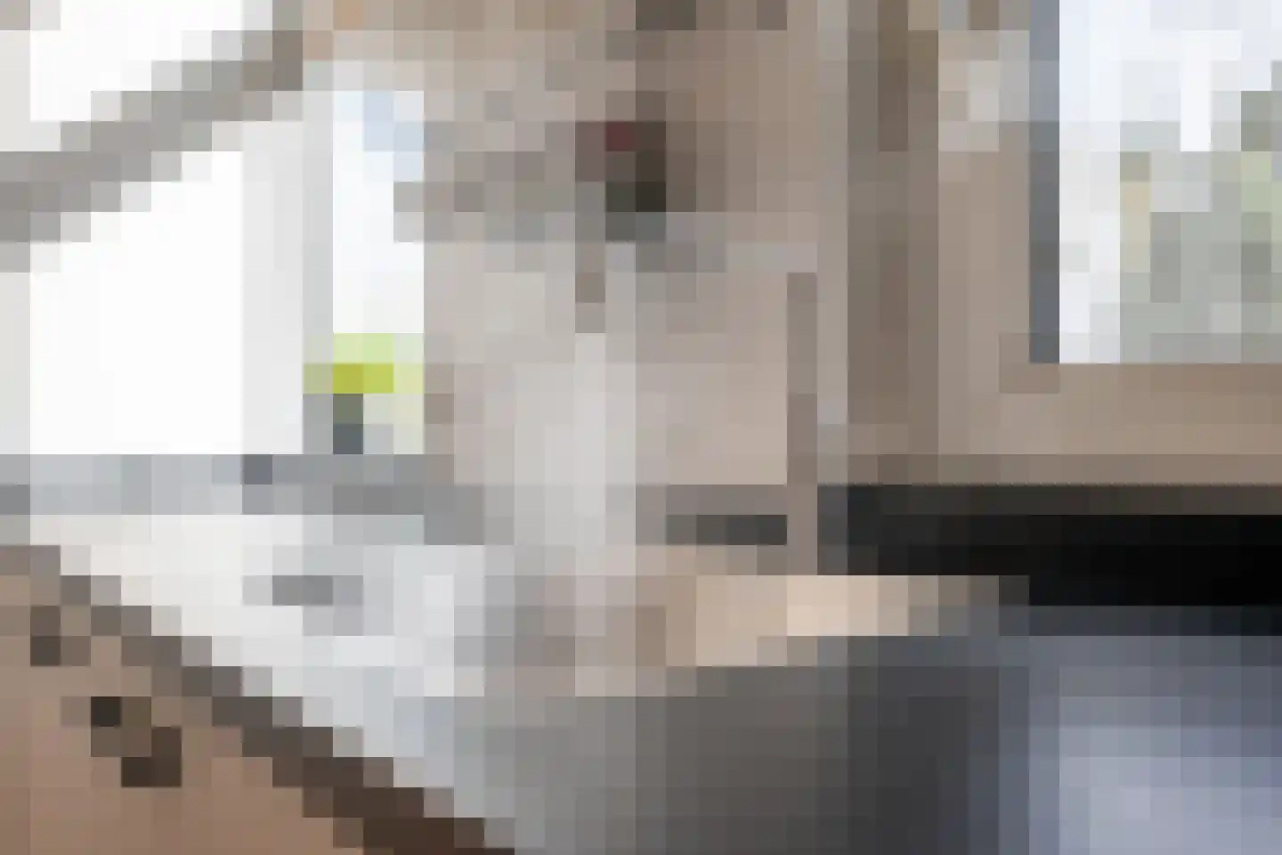 Lichtboei 95 Groningen thumbnail 12