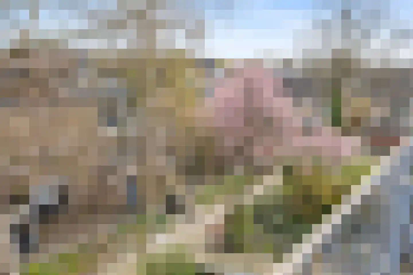 Lichtboei 95 Groningen thumbnail 41