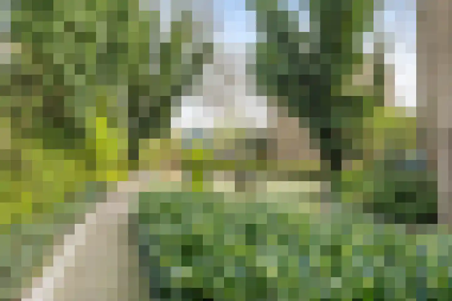 Lichtboei 95 Groningen thumbnail 45