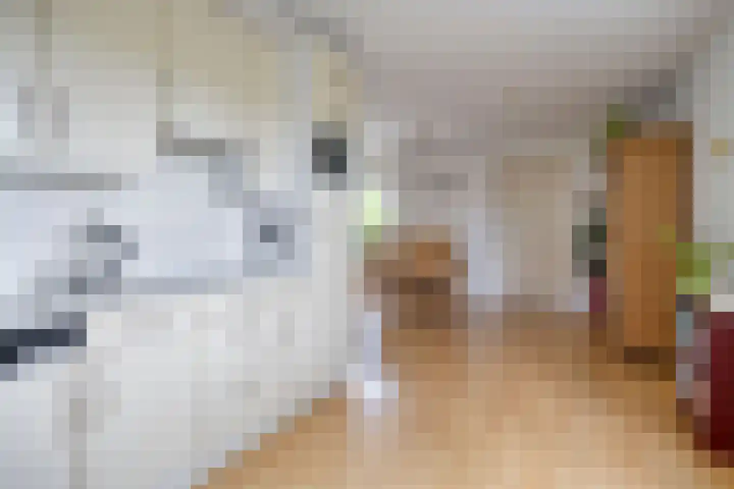 Lichte 16 Sintjohannesga thumbnail 15