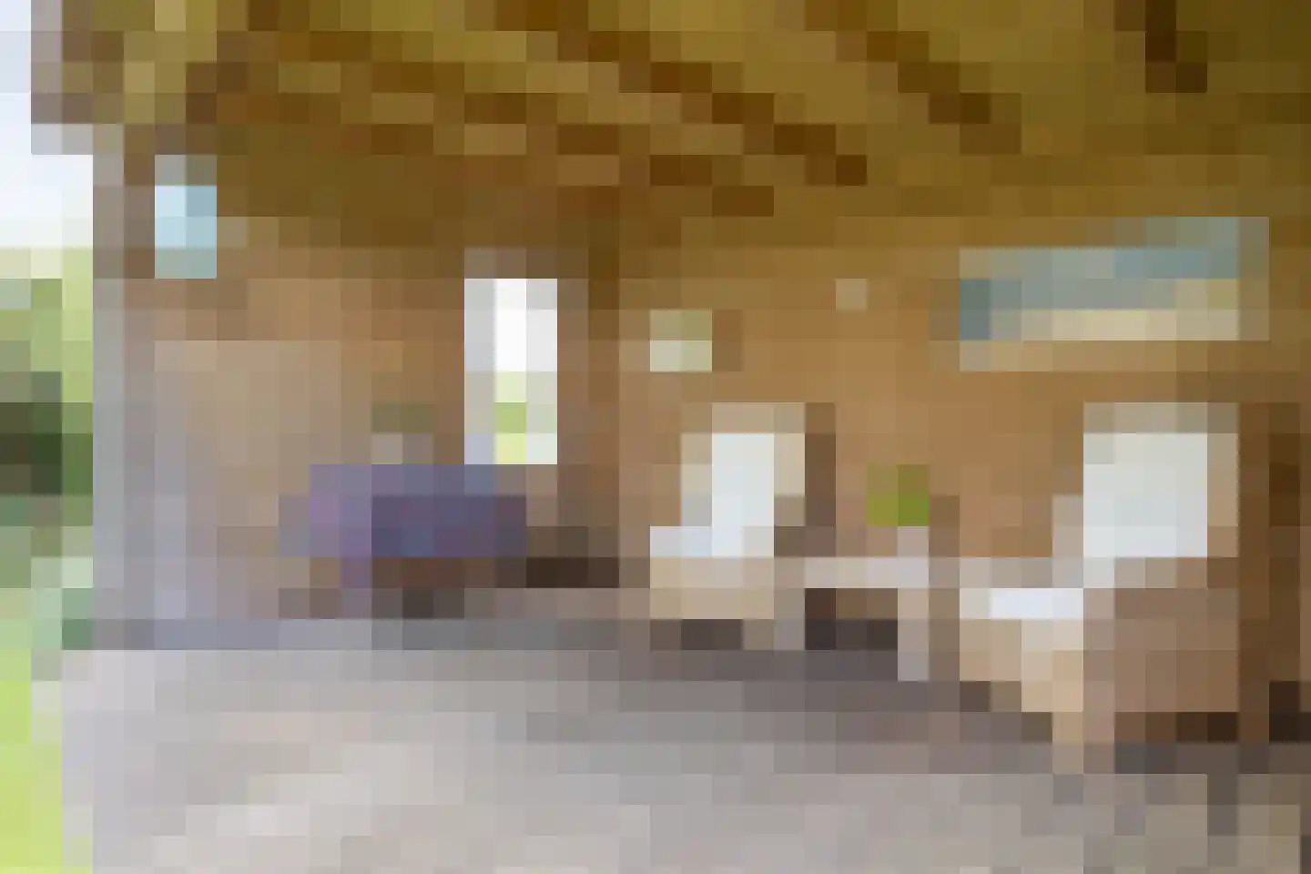 Lichte 16 Sintjohannesga thumbnail 38