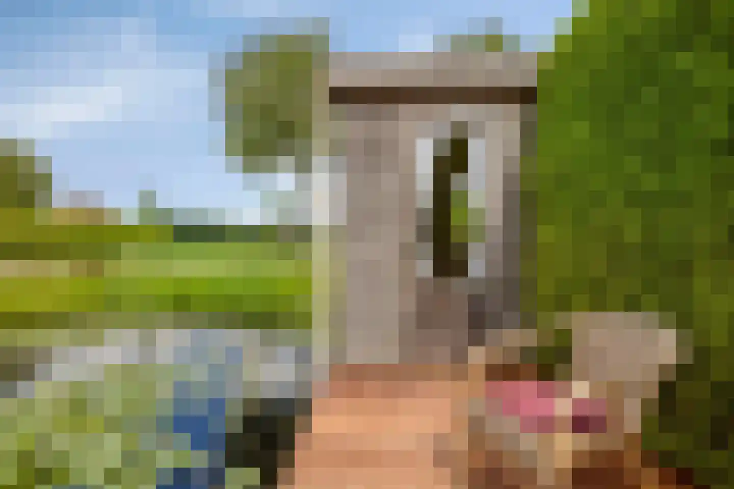 Lichte 16 Sintjohannesga thumbnail 40