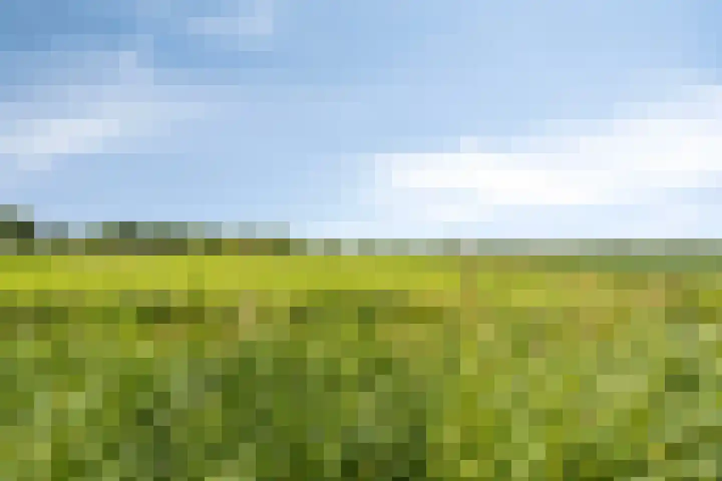 Lichte 16 Sintjohannesga thumbnail 47