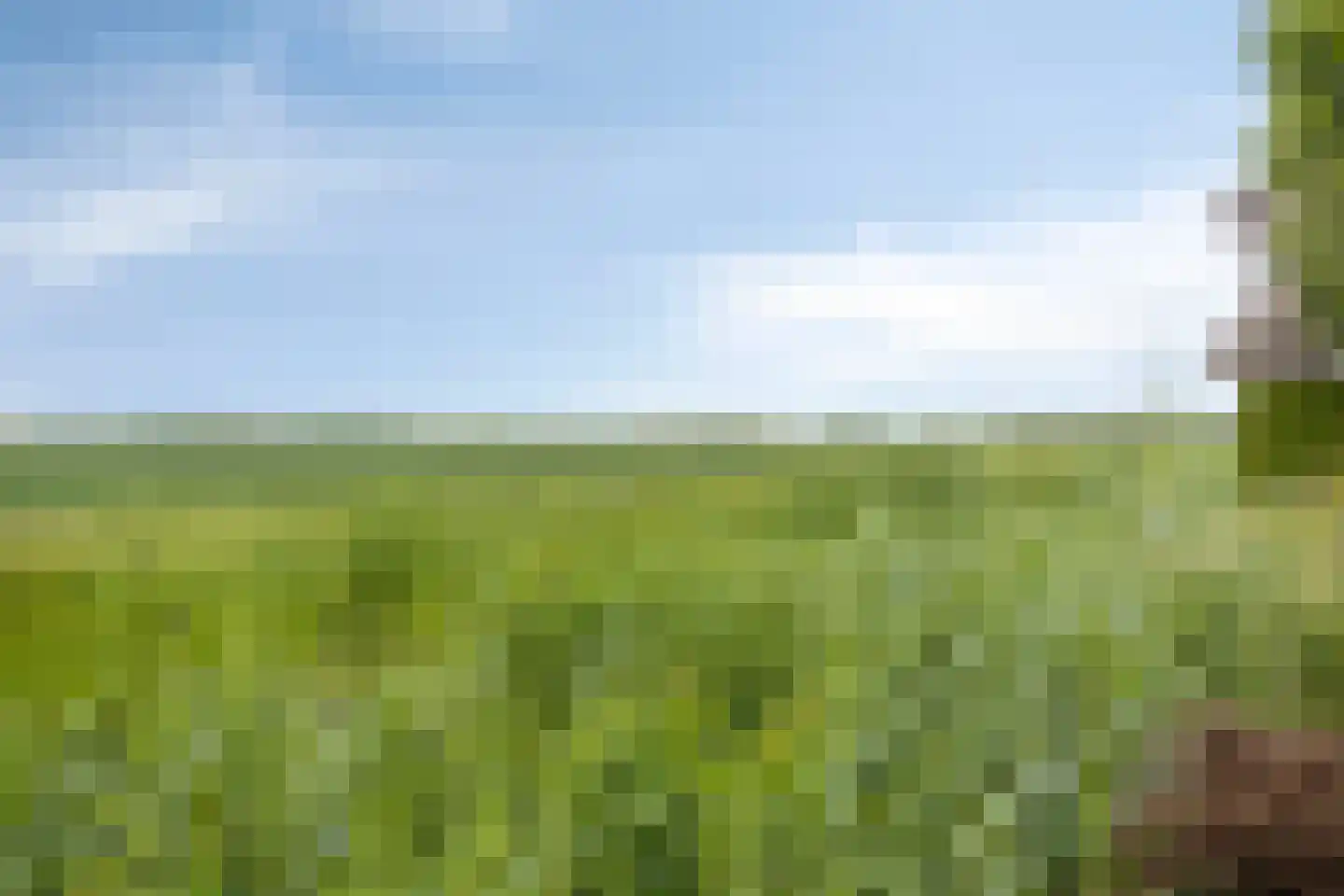 Lichte 16 Sintjohannesga thumbnail 48