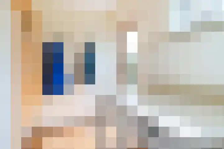 Lichte 18 Sintjohannesga thumbnail 19