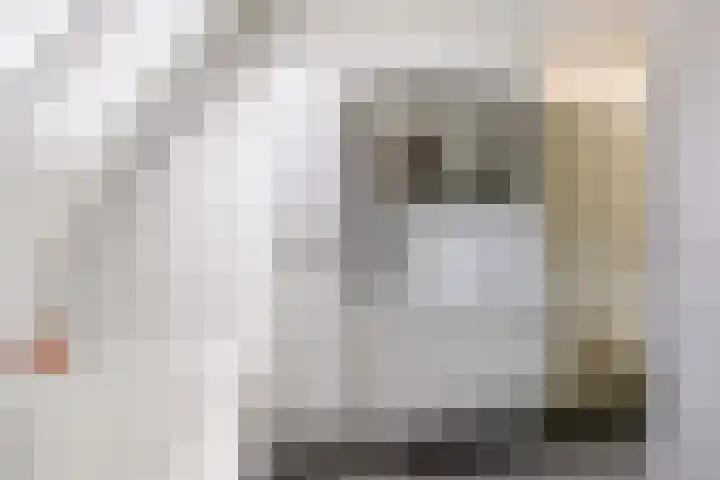 Lichte 18 Sintjohannesga thumbnail 26