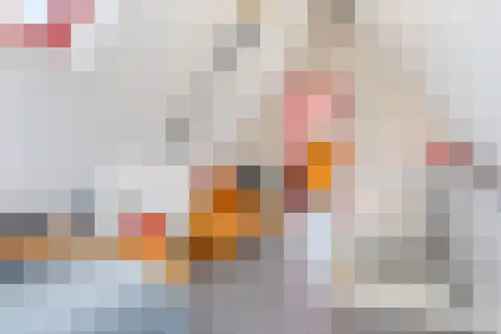 Lichte 18 Sintjohannesga thumbnail 32