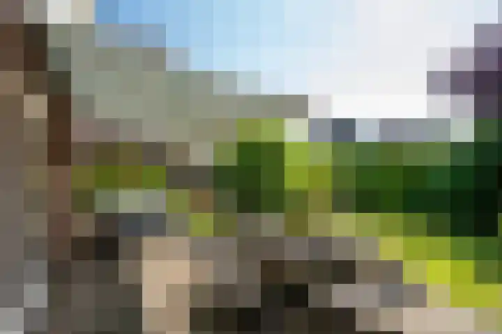 Lichte 18 Sintjohannesga thumbnail 35