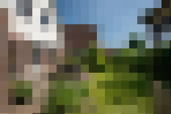 Lichte 18 Sintjohannesga thumbnail 36