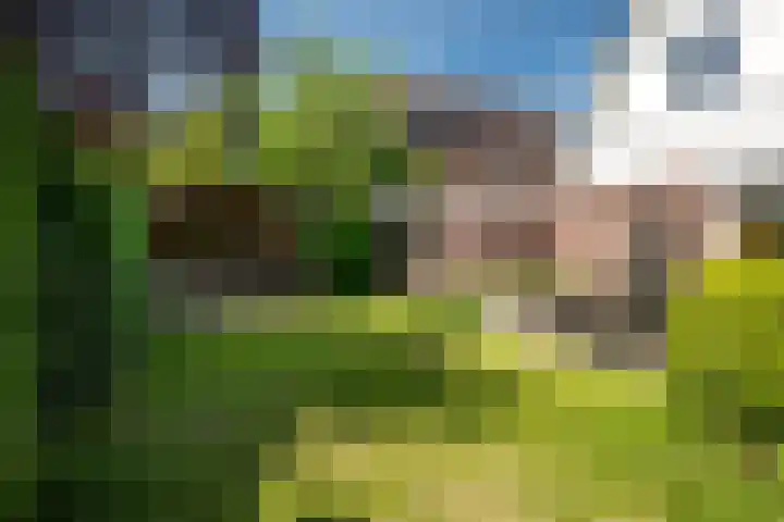 Lichte 18 Sintjohannesga thumbnail 37