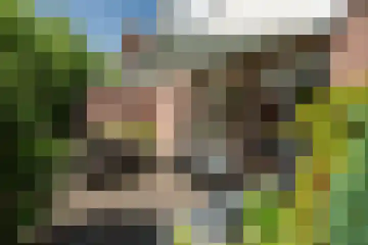 Lichte 18 Sintjohannesga thumbnail 38