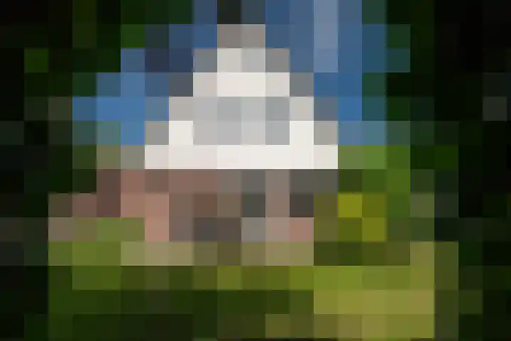Lichte 18 Sintjohannesga thumbnail 40