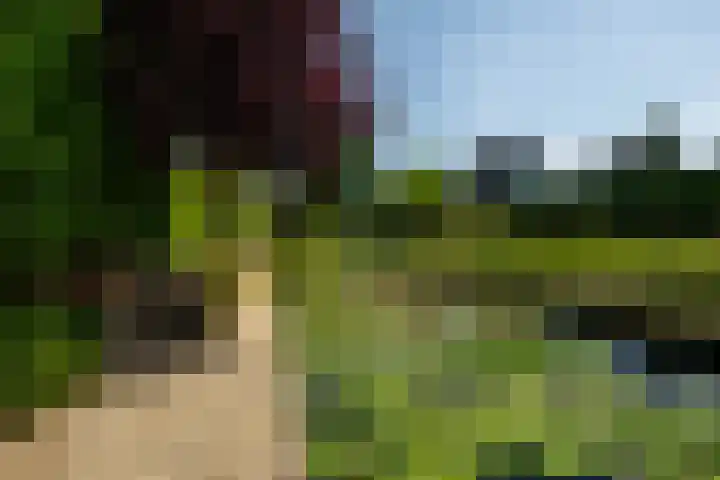 Lichte 18 Sintjohannesga thumbnail 42