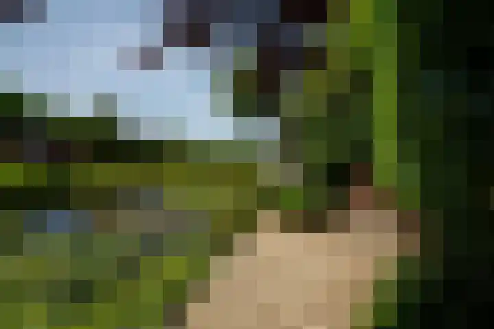 Lichte 18 Sintjohannesga thumbnail 43
