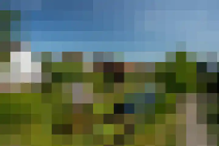 Lichte 18 Sintjohannesga thumbnail 44