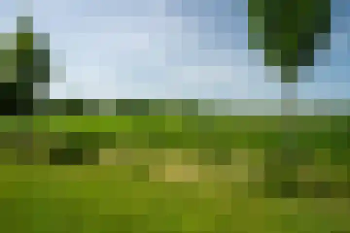 Lichte 18 Sintjohannesga thumbnail 45