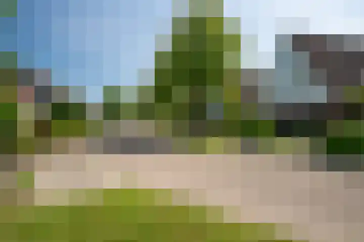Lichte 18 Sintjohannesga thumbnail 46