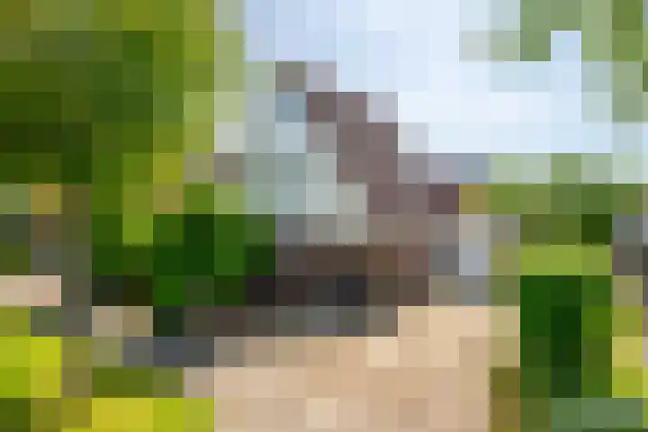 Lichte 18 Sintjohannesga thumbnail 5