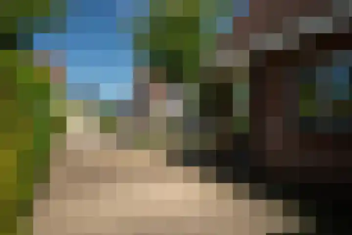 Lichte 18 Sintjohannesga thumbnail 6