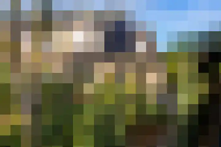 Lichtenbeek 11 Ede thumbnail 5