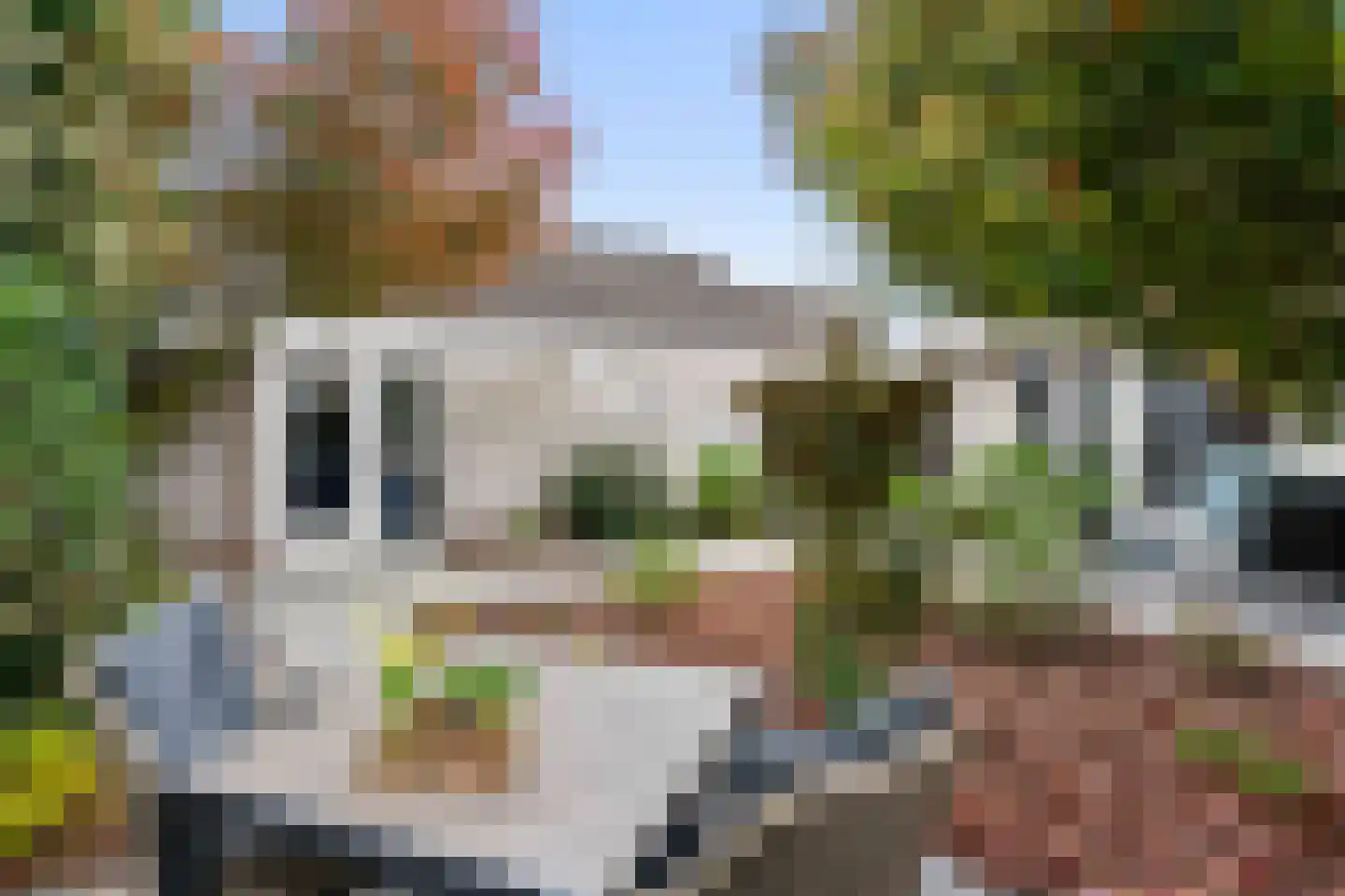 Lichtenbeek 35 Ede thumbnail 19