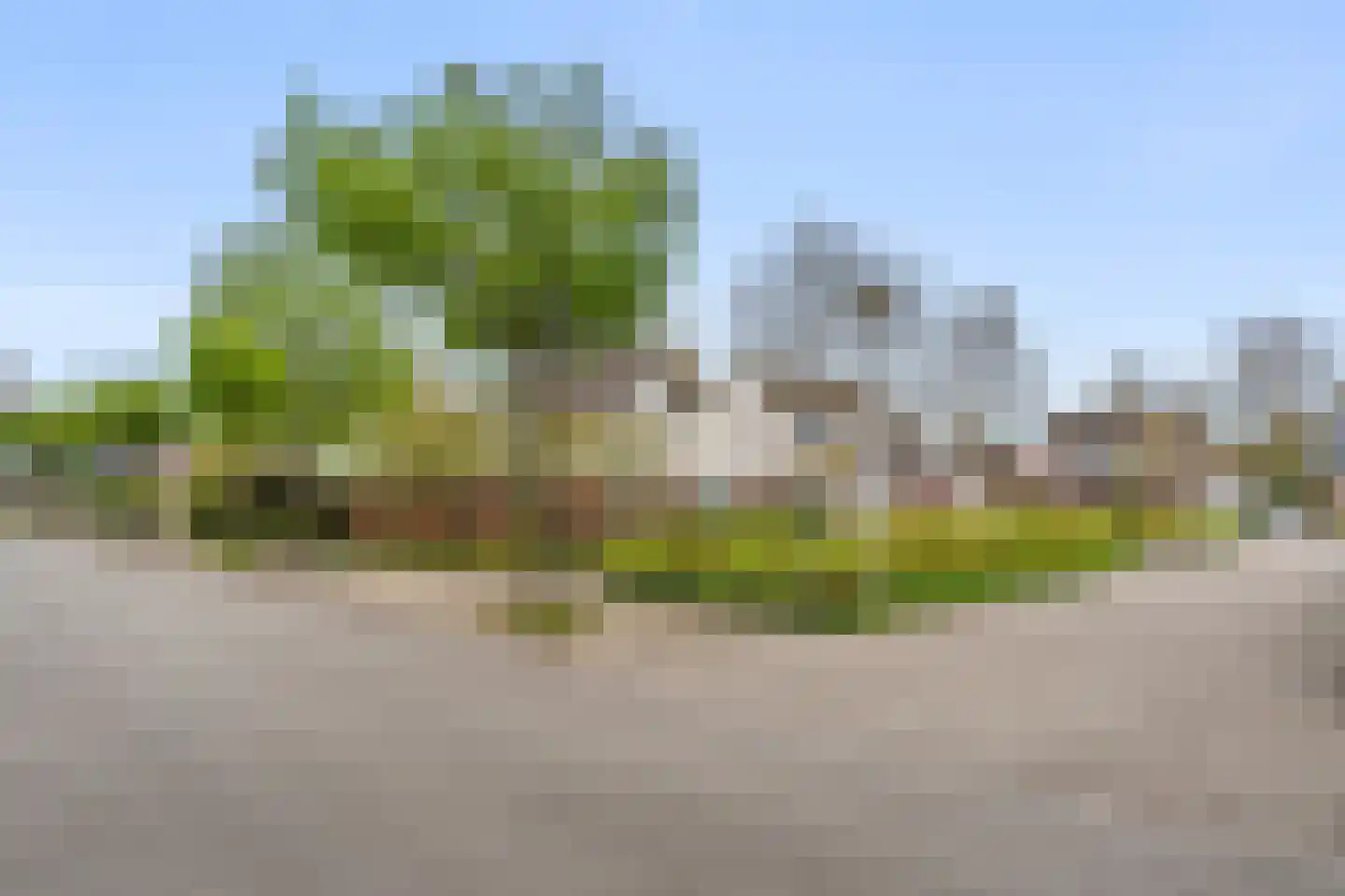 Lichtenbeek 35 Ede thumbnail 9
