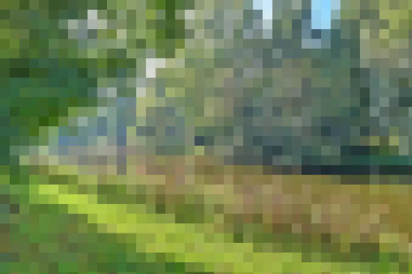 Lichtenbeek 7 Ede thumbnail 40