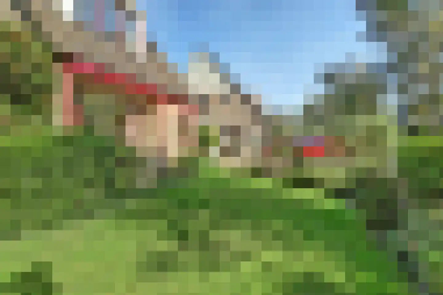 Lichtenbeek 7 Ede thumbnail 7