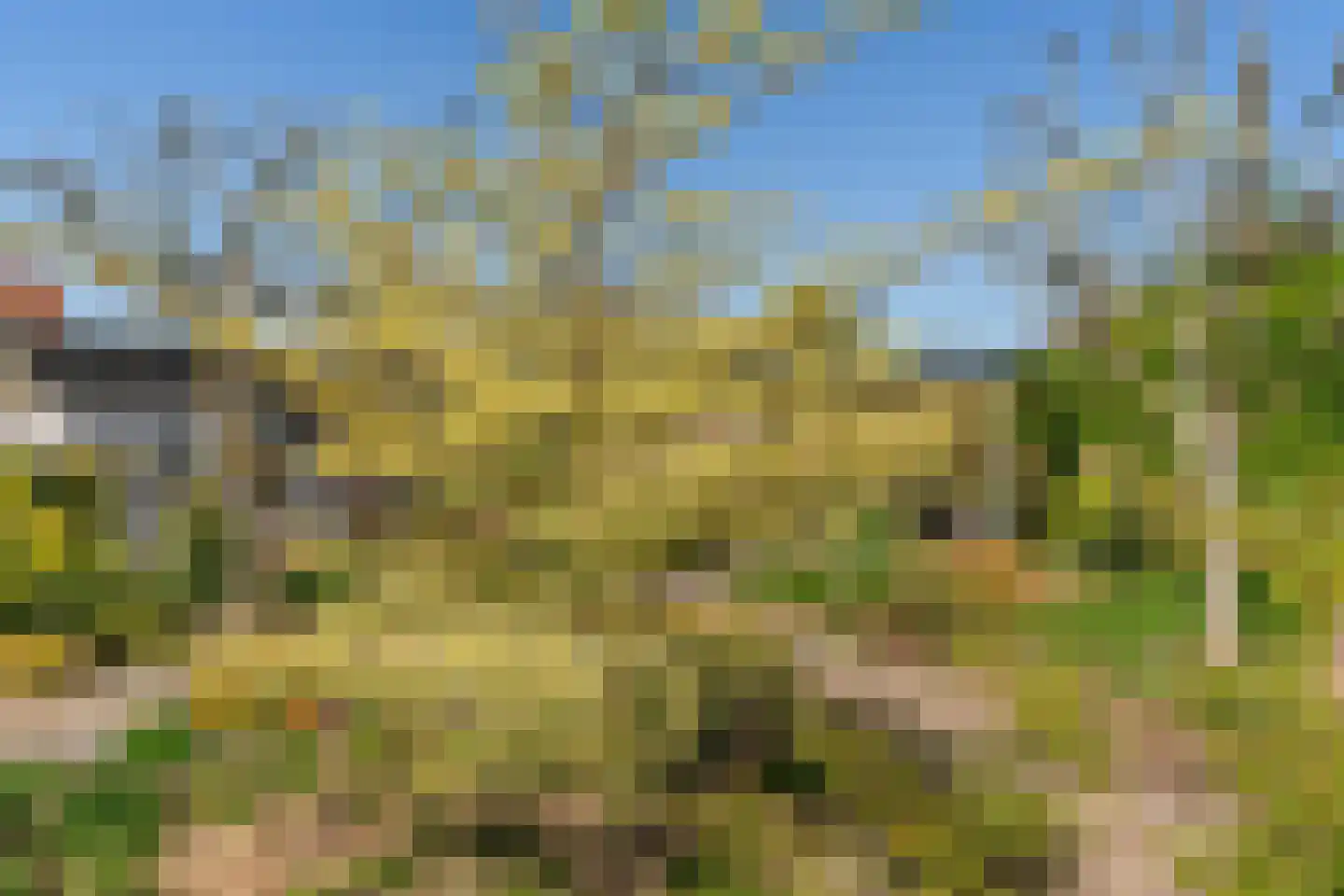 Lichtenberg 13 Munstergeleen thumbnail 36