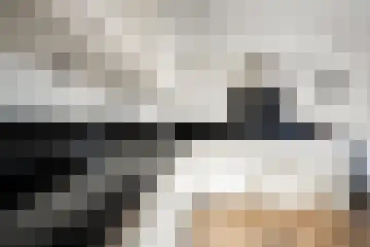 Lichtenberg 17 Almelo thumbnail 12