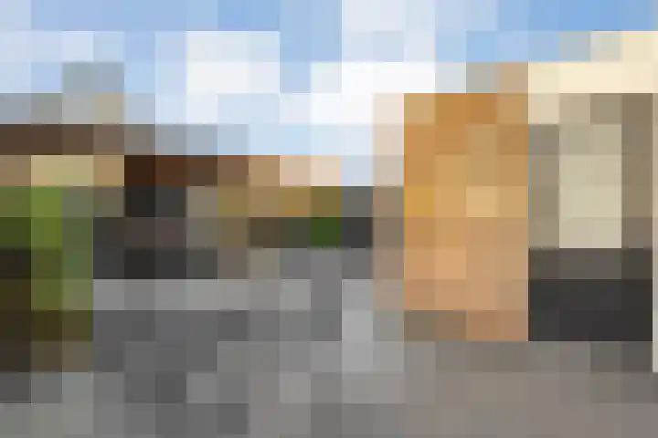 Lichtenberg 17 Almelo thumbnail 27