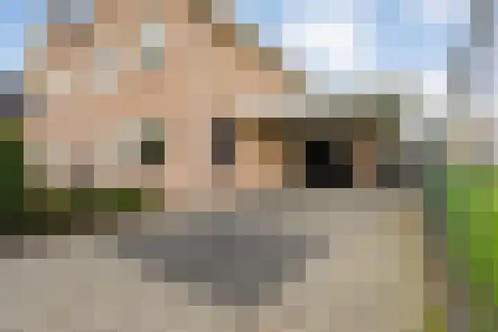Lichtenberg 17 Almelo thumbnail 37