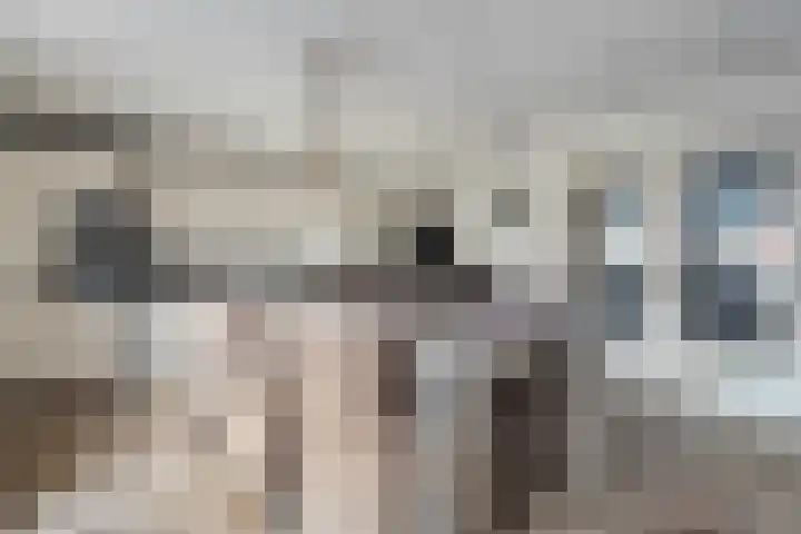 Lichtenberg 17 Almelo thumbnail 9