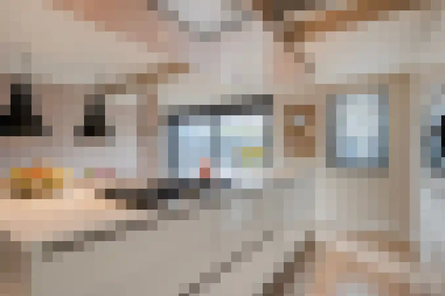 Lichtenberg 42 Almelo thumbnail 15