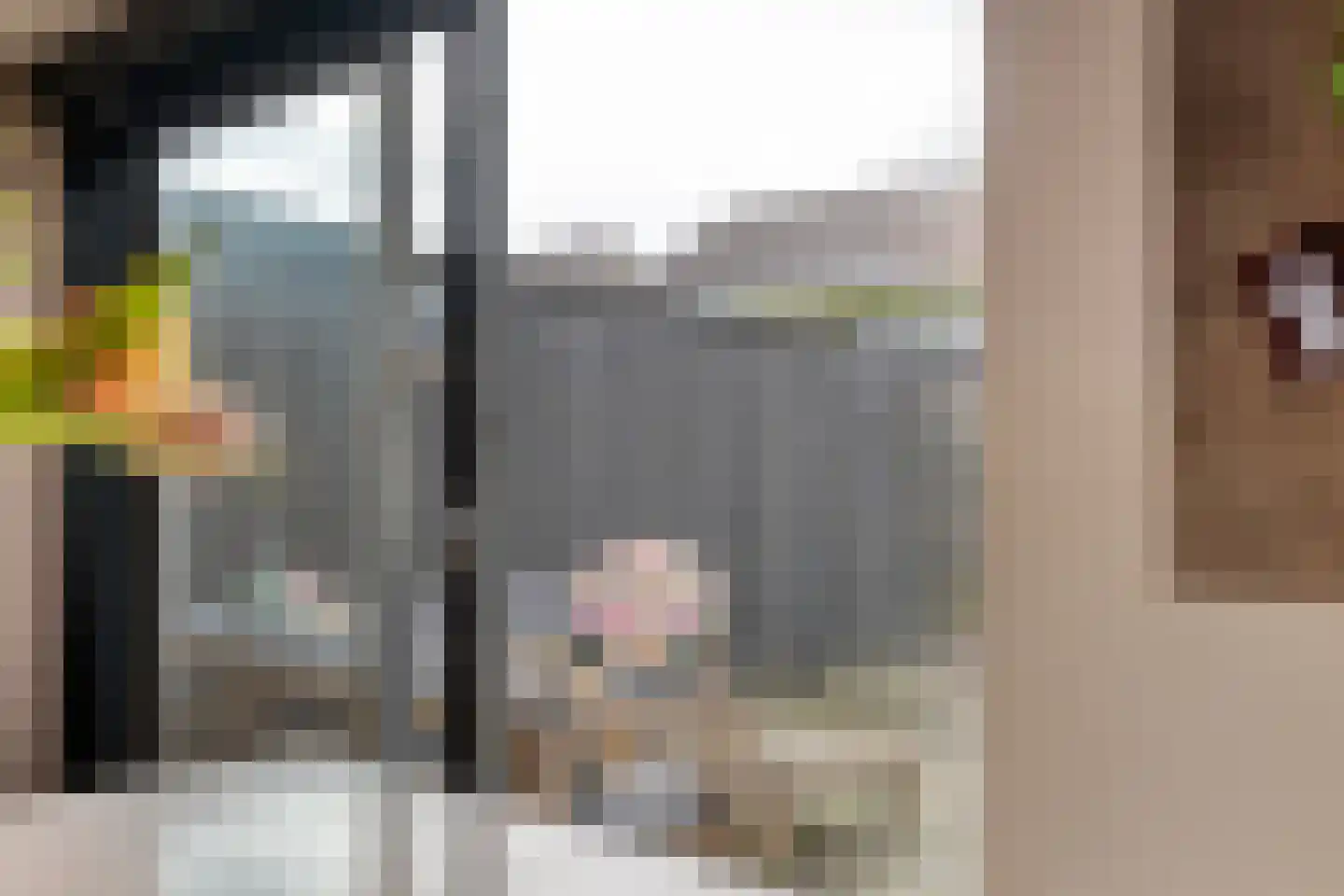 Lichtenberg 42 Almelo thumbnail 17