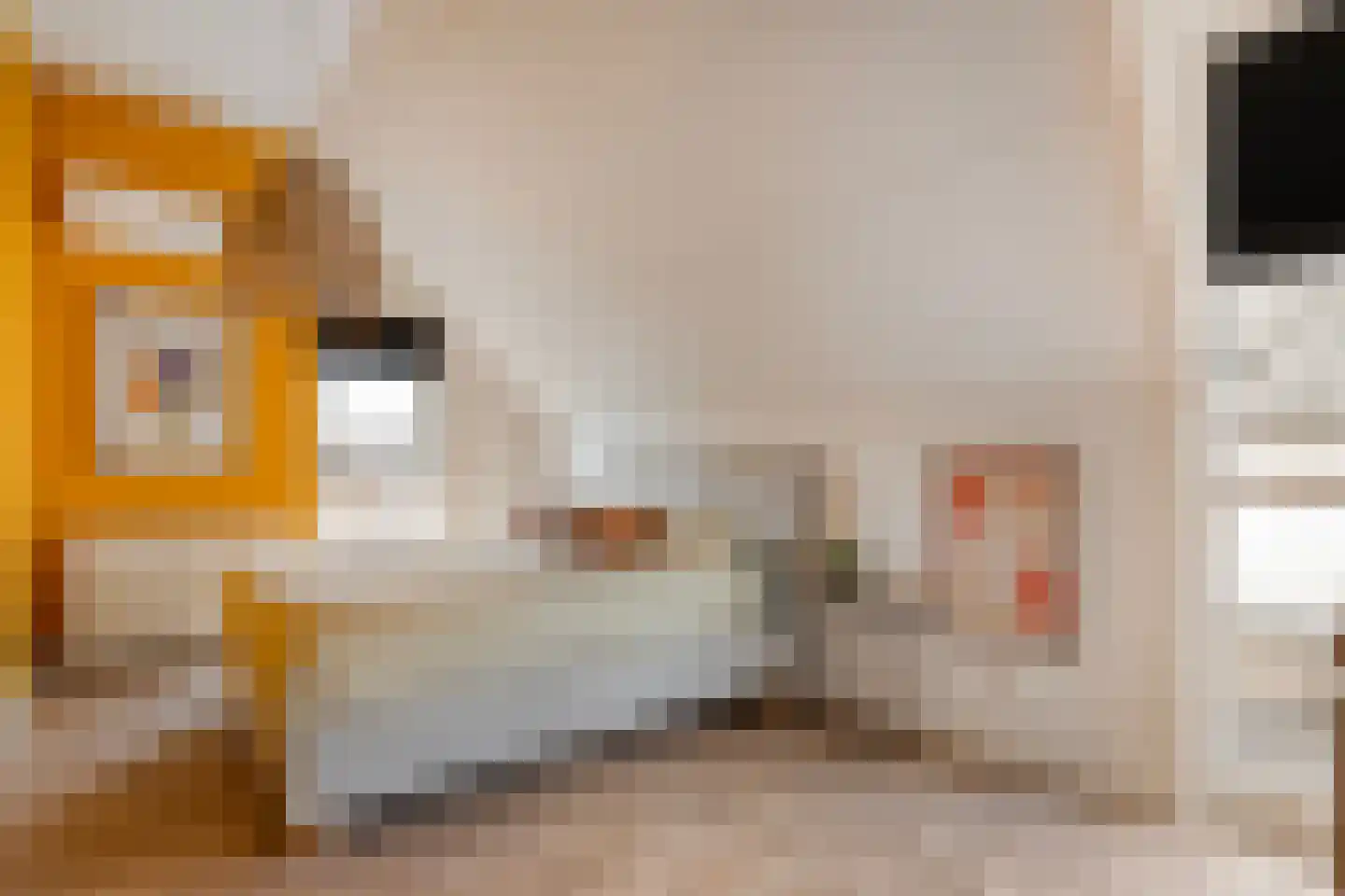 Lichtenberg 42 Almelo thumbnail 18