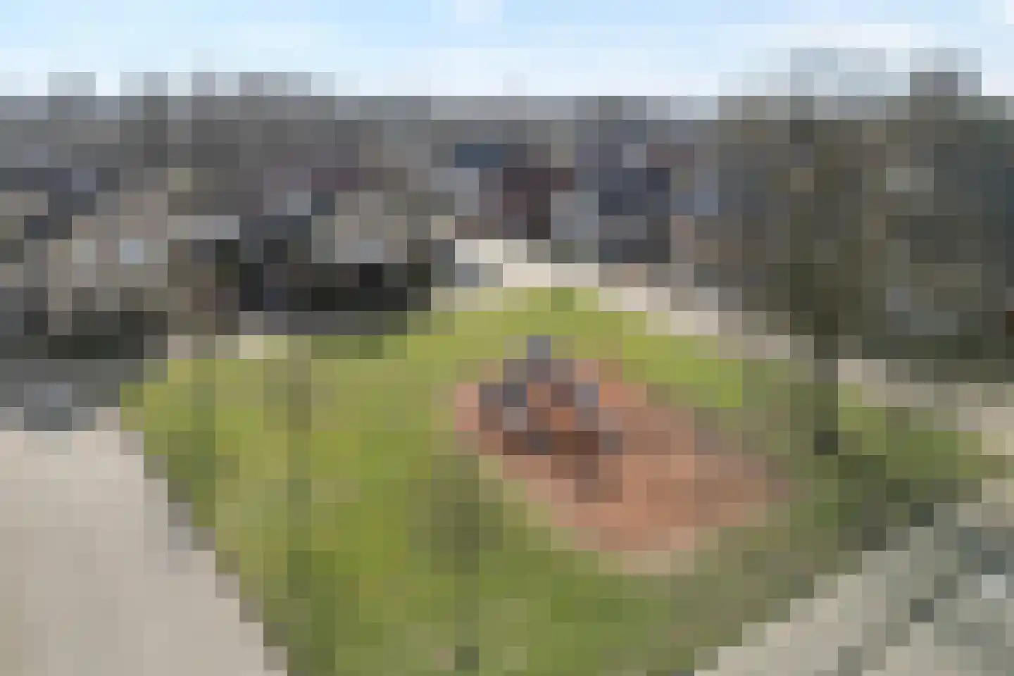 Lichtenberg 42 Almelo thumbnail 32