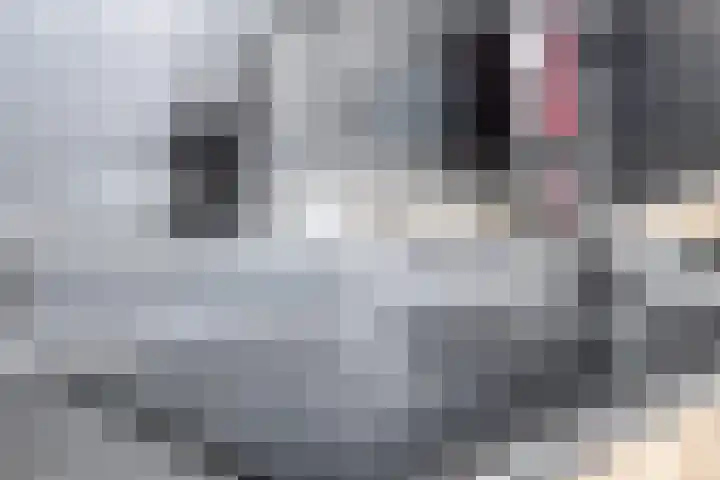 Lichtenberg 44 Eindhoven thumbnail 14