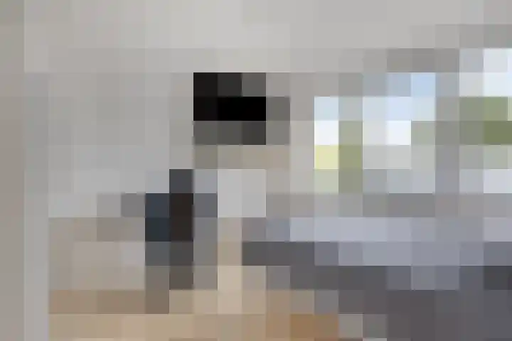 Lichtenberg 44 Eindhoven thumbnail 20