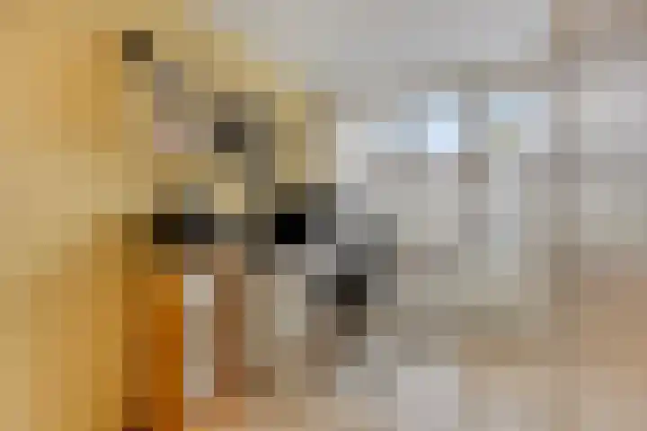 Lichtenberg 44 Eindhoven thumbnail 22
