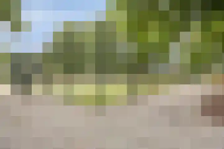 Lichtenberg 44 Eindhoven thumbnail 35