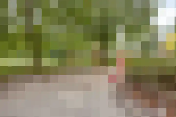 Lichtenberg 44 Eindhoven thumbnail 36