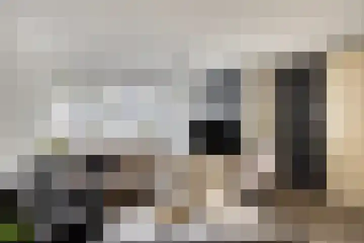 Lichtenberg 44 Eindhoven thumbnail 8