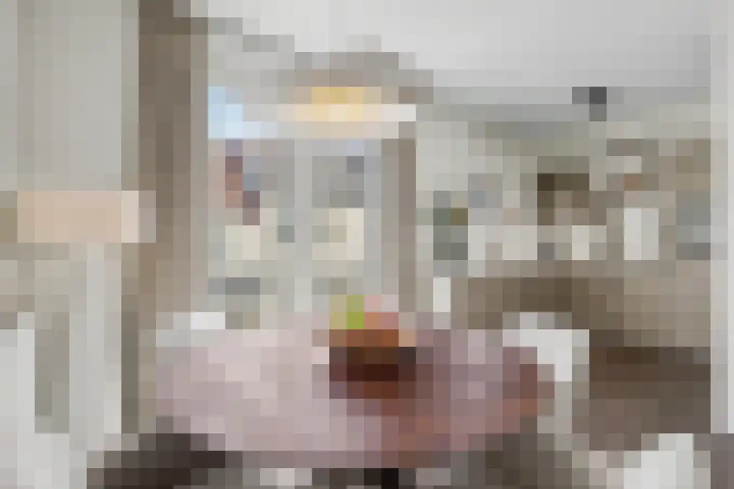 Lichtenberg 8 Venlo thumbnail 12
