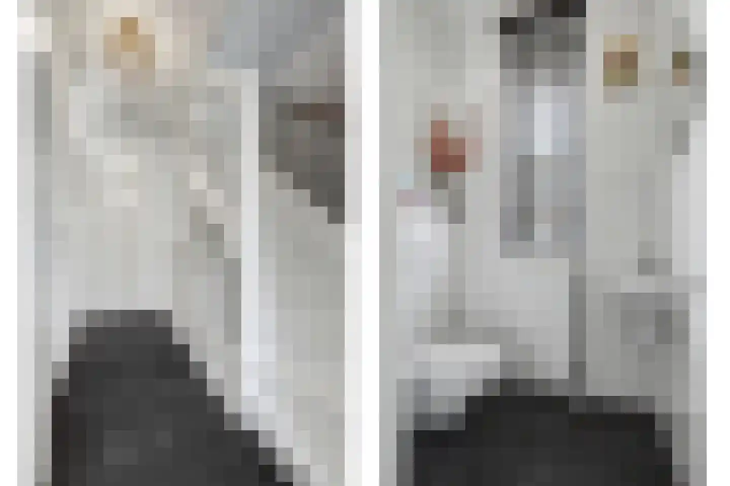 Lichtenberg 8 Venlo thumbnail 14