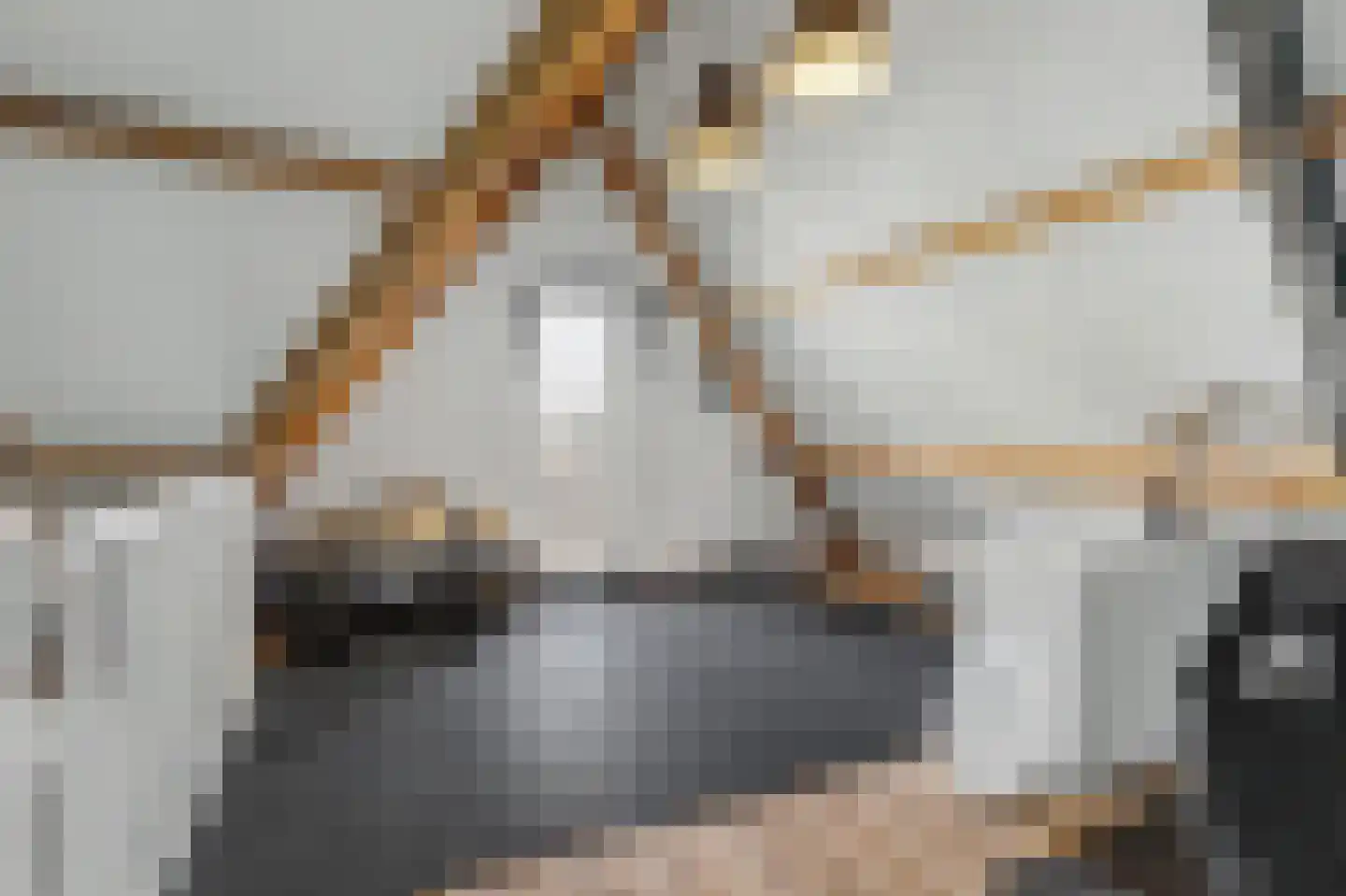 Lichtenberg 8 Venlo thumbnail 20