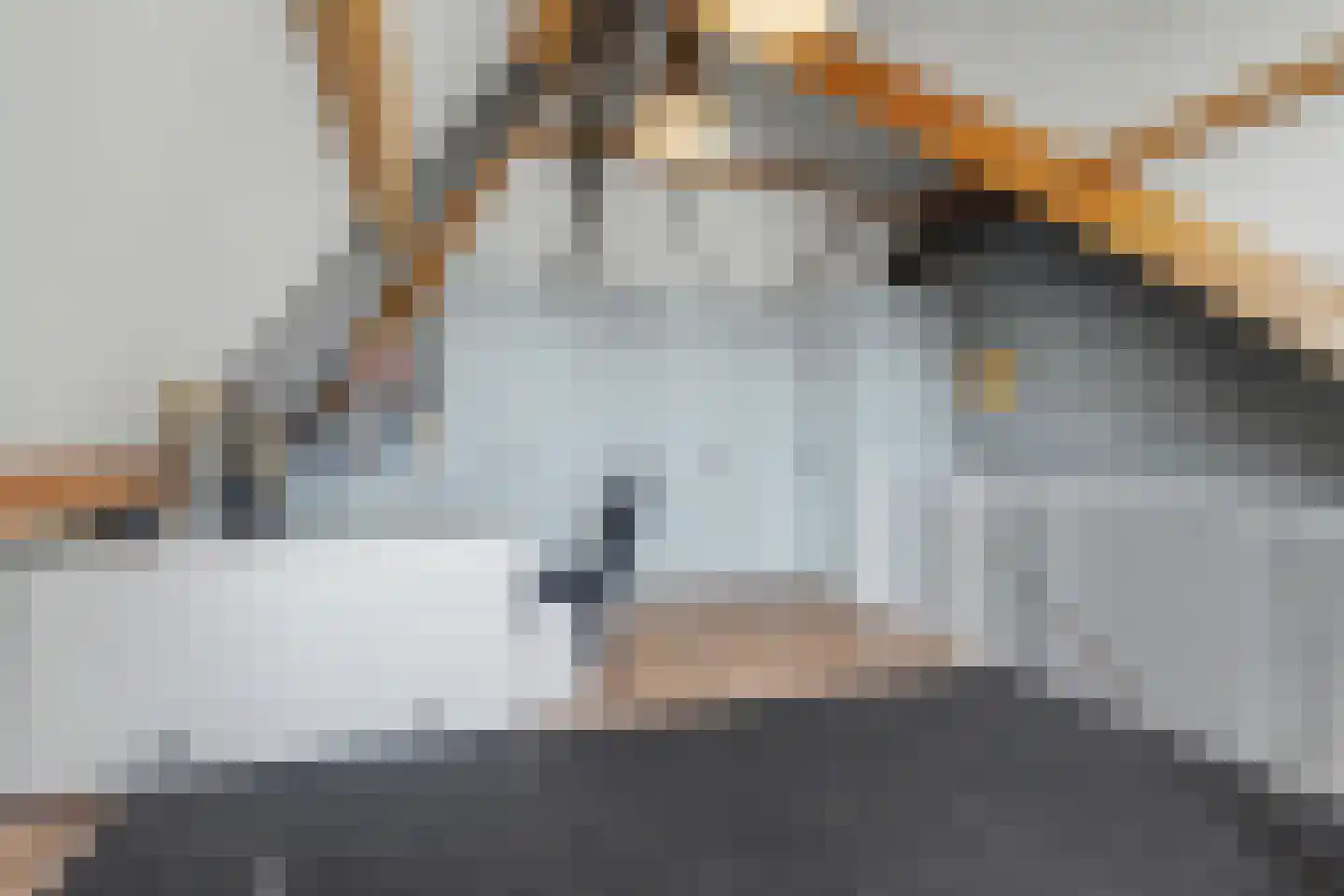 Lichtenberg 8 Venlo thumbnail 21